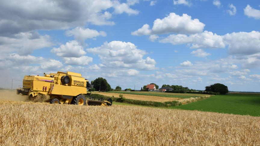 Het is belangrijk om meerdere rassen te kiezen naargelang het uit te zaaien areaal wintergerst , om zo aan risicospreiding te doen.