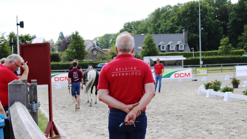 Bij de les blijven … zelfs met 70 deelnemende veulens met springgerichte afstamming.