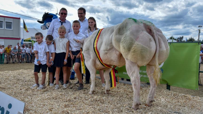 Kampioen bij de vaarzen Gabelle de St Fontaine van ...
