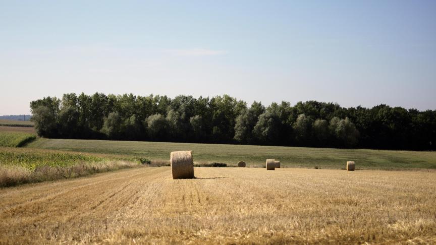 Er zal aan de verschillende sectoren en overheden worden gevraagd om te laten weten welke maatregelen zij nemen om hun watergebruik te beperken.
