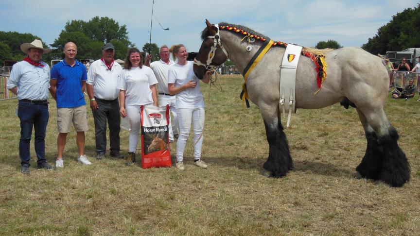 Premier van de Parelhoeve , kampioenhengst 2018-2019