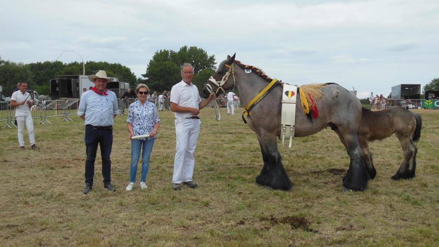 Judy van 't Rietenhof van Vlaams Brabant: kampioene merries met veulen