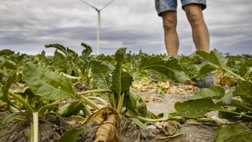 Edito: Water naar de zee dragen... - Landbouwleven