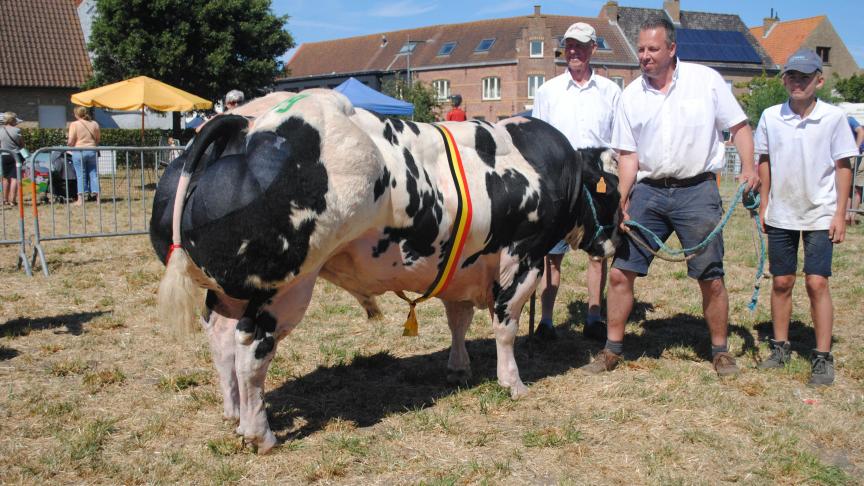 Ronaldo vd Stokerij (Futé), kampioen stieren 1 tot 2 jaar, van Roger Monbaliu uit Jabbeke.
