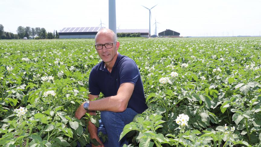 Mark Geling: “De veredeling kan ons ‘probleem’ oplossen, maar probeer dan niet de Green Deal door te drukken. Geef ons de tijd om resistente rassen te veredelen.”