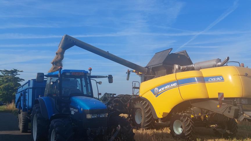 Het hectolitergewicht van de wintertarwe bedroeg gemiddeld over alle rassen en proefplaatsen 80,9 kg/hl, tegenover 75,4 kg in 2021, 79,0 kg in 2020 en 77,6 kg in 2019.