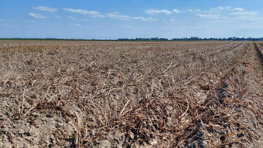 Het hydrologisch tekort bedraagt meer dan 350 liter water per vierkante meter.