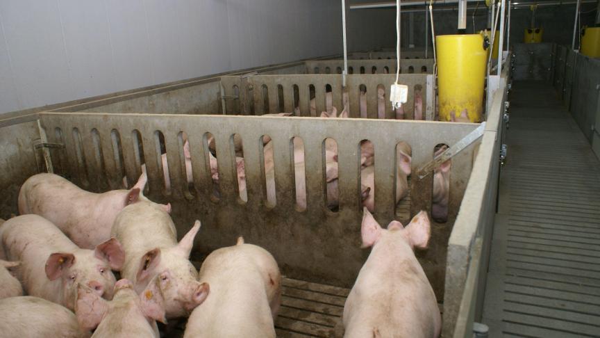 Het WeComV zal een belangrijke rol spelen bij de beoordeling van technieken en maatregelen om de emissies gerelateerd aan de veeteelt en aan de mestverwerking te reduceren.
