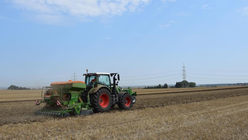 De uiterste inzaaidatum van vanggewassen wordt met 2 weken uitgesteld van 15 september tot 30 september.