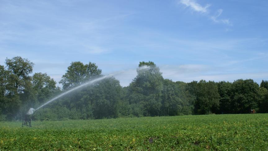 De irrigatie moet blijven gebeuren in functie van een rendabele teelt.