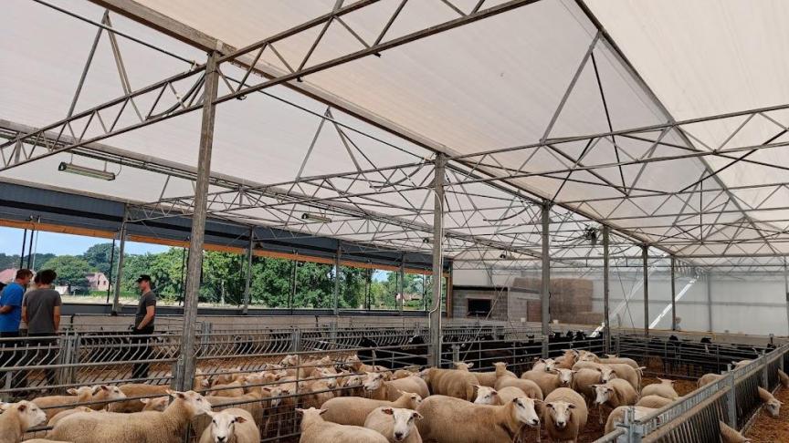 Op ‘t Zwarthof worden de schapen gehouden in een serrestal. De constructie ervan werd in eigen regie opgebouwd en er werd gebruikgemaakt van recyclagematerialen.