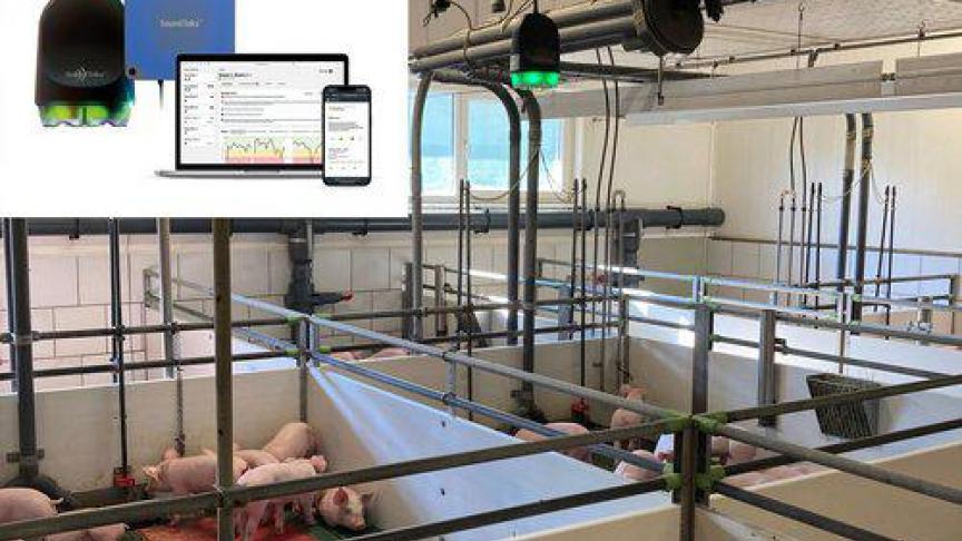 Het systeem analyseert continu de gezondheidstoestand van de luchtwegen van varkens tijdens de opfok en het afmesten.