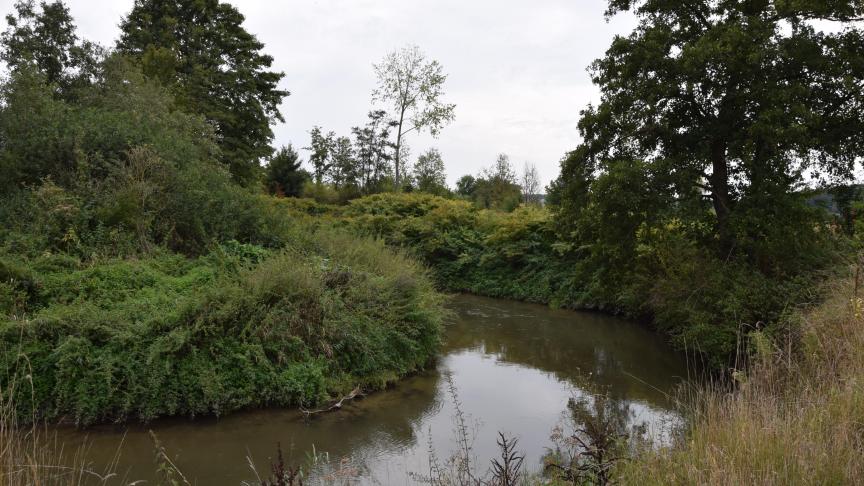 De droogtecommissie stelt een versoepeling van het oppompverbod voor.