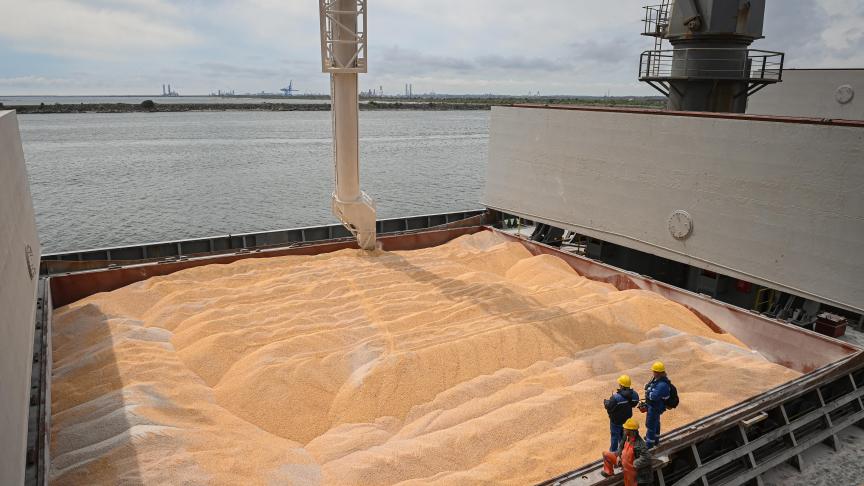 De graanexporten vanuit Oekraïne lopen goed door en zitten ruim op de helft van vorig jaar op dit tijdstip.