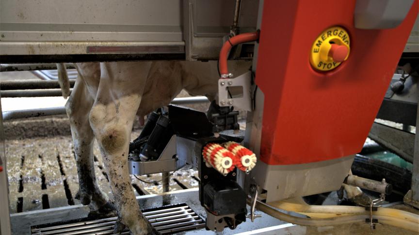 Twee robots van het merk Lely melken zo’n 120 koeien.