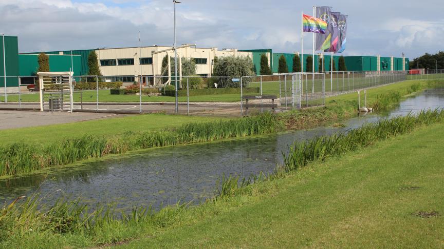 Bayer-site veredelt in Enkhuizen niet alleen groentegewassen. De wereldwijd geproduceerde zaden worden er ook ontvangen, waarna ze worden geschoond en opgewaardeerd.