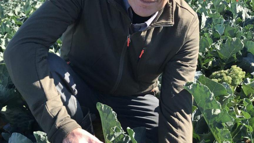 De hybriden moeten getest worden. Producten zoals een bloemkool of broccoli worden daartoe geplant in Nederland, maar ook in Zuid-Europa en Amerika , toont Meindert Boon, Crop Design Lead brassica en paprika.