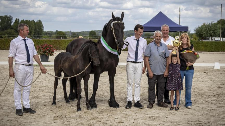 Uiteindelijk won Ubbe van de Warande het van de 2 merrieveulens met zijn sterk gebruik van het achterbeen en werd het dus verkozen tot beste veulen van de dag.
