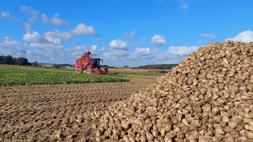 Een hogere suikerbietprijs is om diverse redenen nodig.
