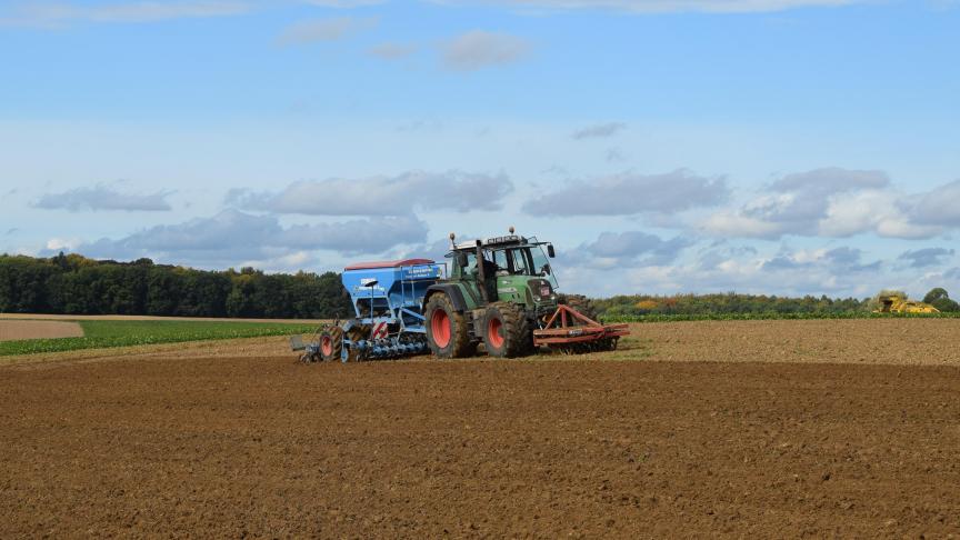 In het najaar van 2022 zal er meer wintergraan uitgezaaid zijn dan in vorige jaren.