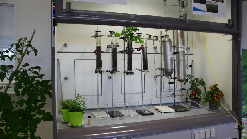 In elk platform wisselen betrokken onderzoekers kennis en ideeën uit om het onderzoek van de kennisinstellingen op elkaar af te stemmen.