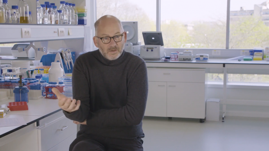 De ontdekking van deze kleine antilichamen heeft tot belangrijke doorbraken in de geneeskunde en landbouw geleid