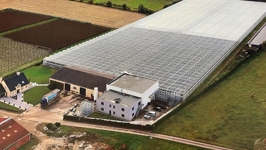 De familie Royakkers beschikt in Nazareth over afgerond 24.000 m² serres. (Foto: Familie Royakkers)