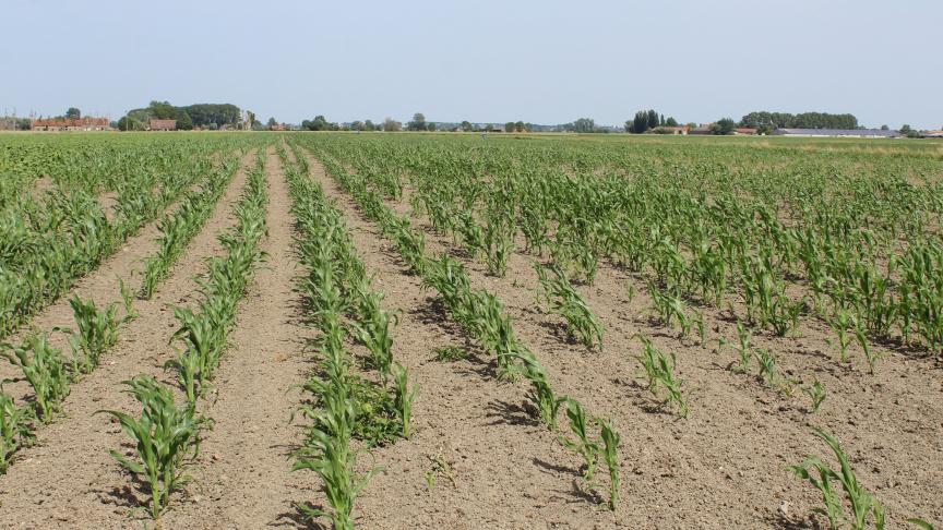 Een Belgisch landbouwerskoppel verzette zich met succes tegen de verkoop van 450 ha landbouwgrond aan Fernand Huts.