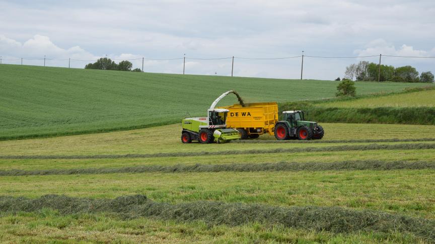 Een loopbaanbegeleider luistert en zoekt via gesprekken en oefeningen samen met u naar antwoorden op uw (loopbaan)vragen.