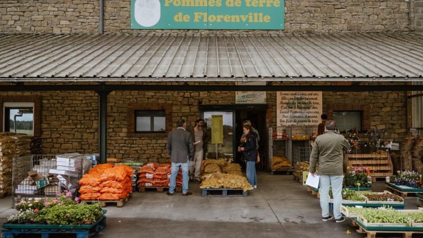 De helft van de aardappelen wordt verkocht via directe verkoop door de producenten,  en de andere helft via traditionele verkoopkanalen.