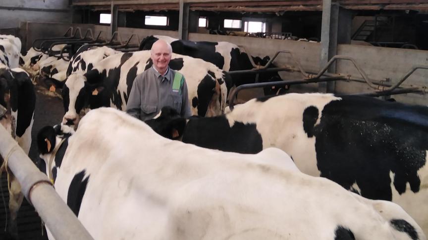 De koeien van Jos Dobbels uit Kortemark overschreden dit boekjaar voor het eerst de kaap van 14.000 kg rollend jaargemiddelde in Vlaanderen.