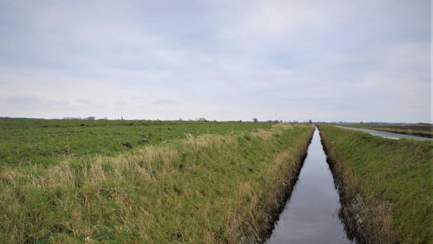 De teeltvrije zones van 6 m knippen in 6 op de 10 landbouwpercelen.