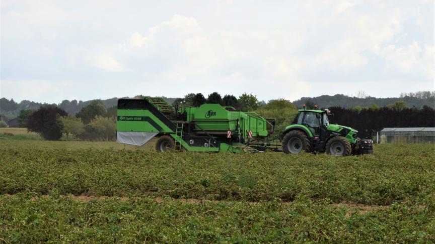 Ten opzichte van vorig jaar meldt NEPG dat vooral België opvalt door de lagere productie, namelijk 18,7% minder.