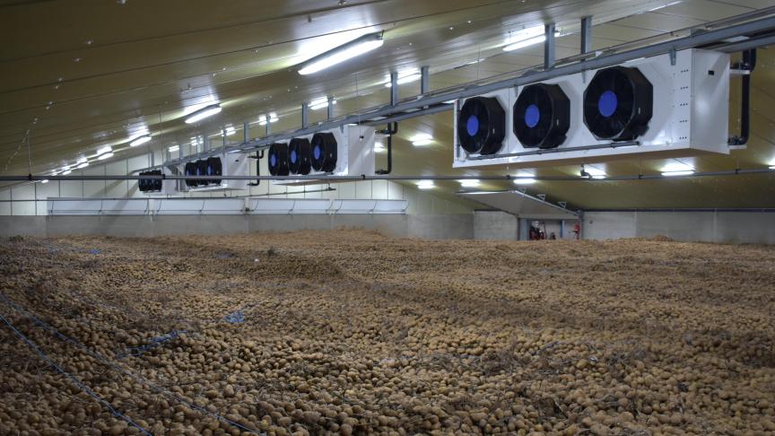 Een lagere productie en hoge afzet hebben geleid tot lagere aardappelvoorraden nu.
