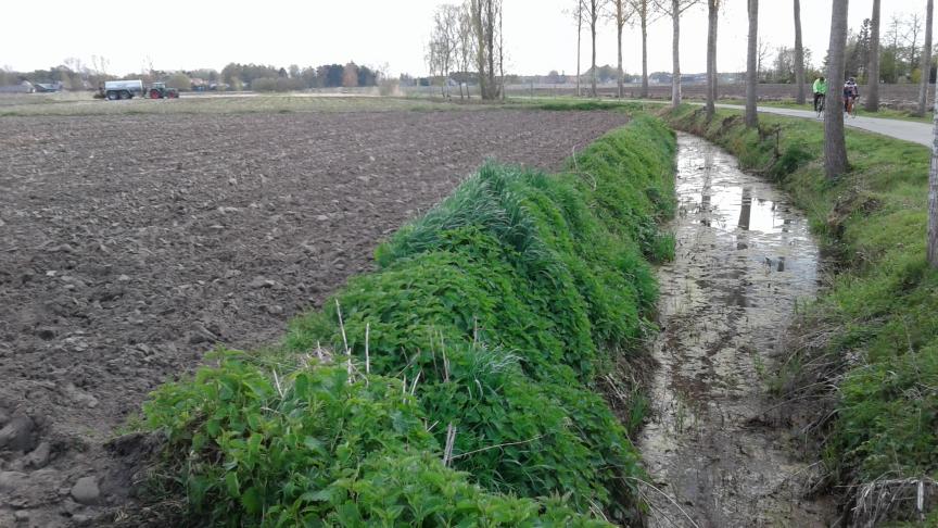 De bufferzones zullen volgend jaar moeilijk tot niet haalbaar zijn. Bijkomende overgangsmaatregelen zullen dus zeker cruciaal zijn.