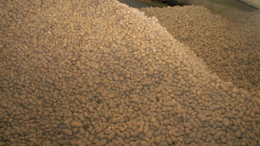 Belgapom noteert hogere aardappelprijzen