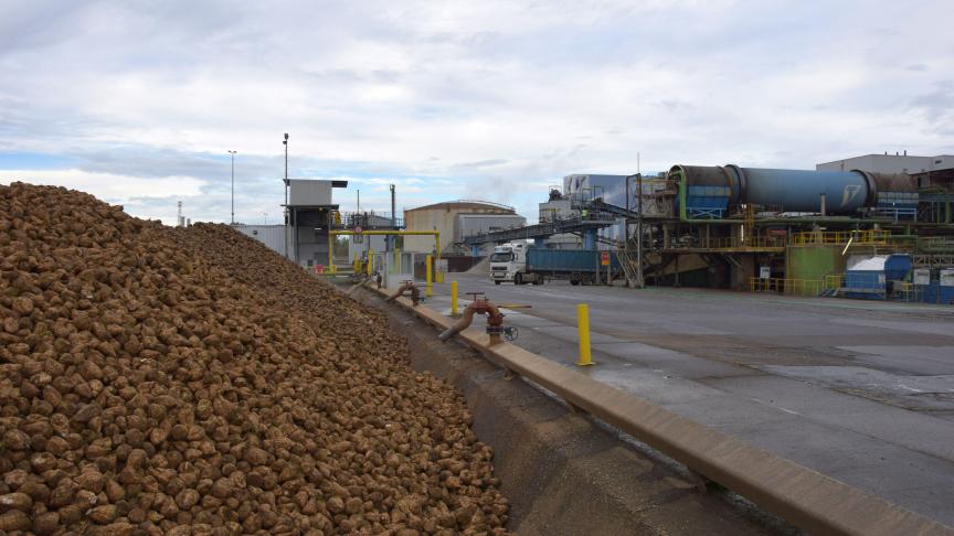 Sinds de start van de campagne eind september werd al 2,5 miljoen ton bieten opgehaald in de fabrieken van Tienen, Wanze en Longchamps.