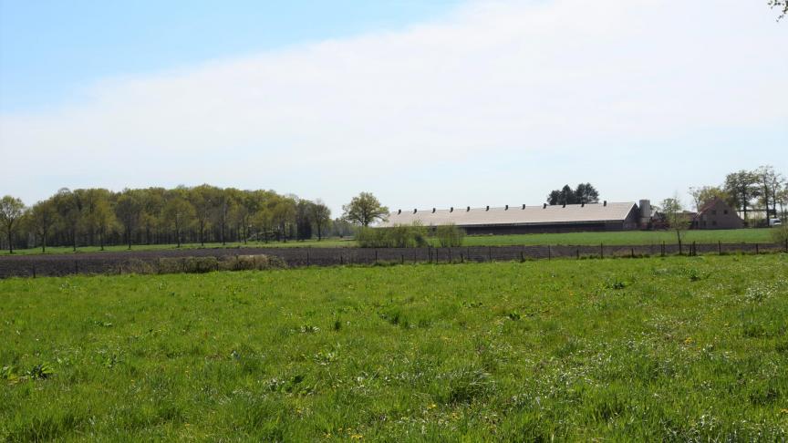 Voor duurzame varkens- en pluimveestallen geldt dat het aantal gehouden dieren niet mag toenemen.