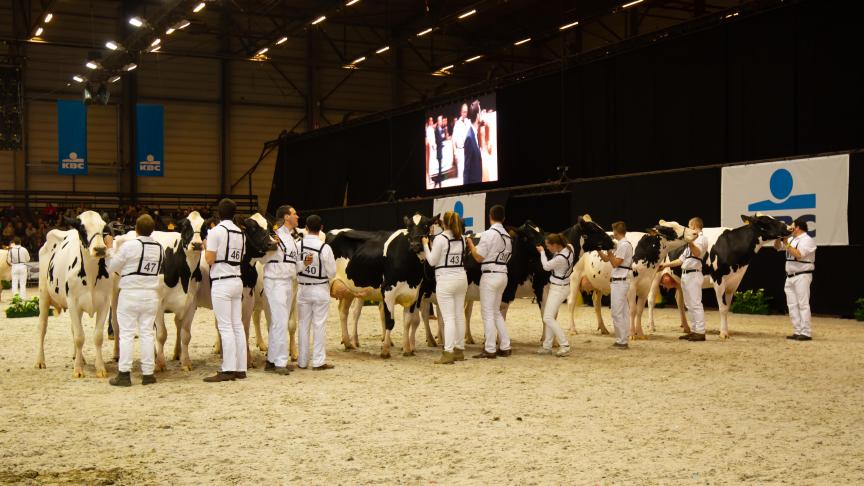 Op de openingsdag van de beurs staat melkvee in de kijker.