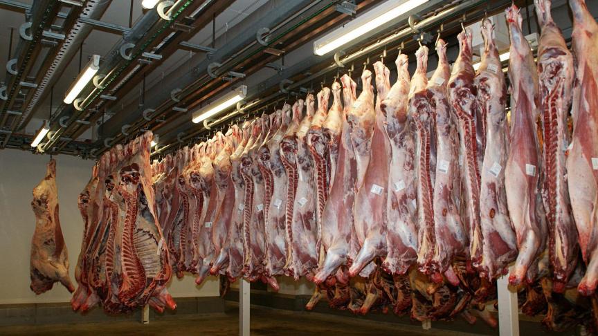 De afdeling Dierenwelzijn in Vlaanderen ontving in 2021 voor de periode van één jaar 663 informatieformulieren over transportwaardigheid voor alle geslachte dieren, uit Vlaanderen en uit het buitenland samen.